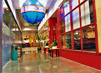 vista 1